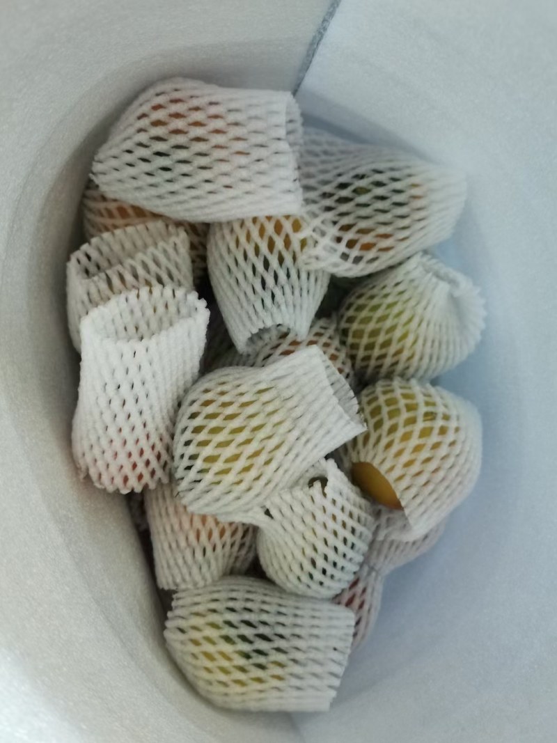 辽L盘锦碱地大柿子精品纯碱地种植自家大棚