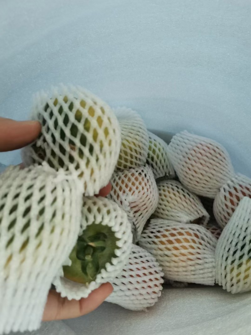 辽L盘锦碱地大柿子精品纯碱地种植自家大棚