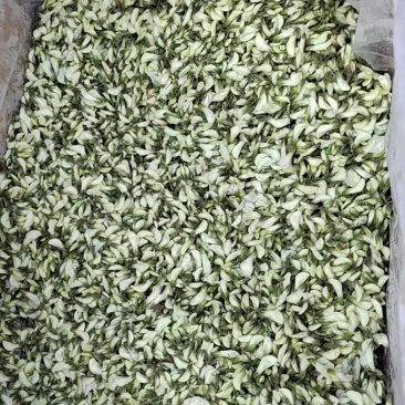 精品速冻槐花，常年供应，现货充足，量大从优