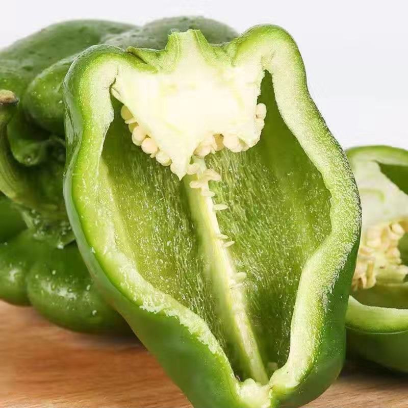 甜椒种子不辣菜椒种子茄门种子农家庭院种植辣椒种子蔬菜种子