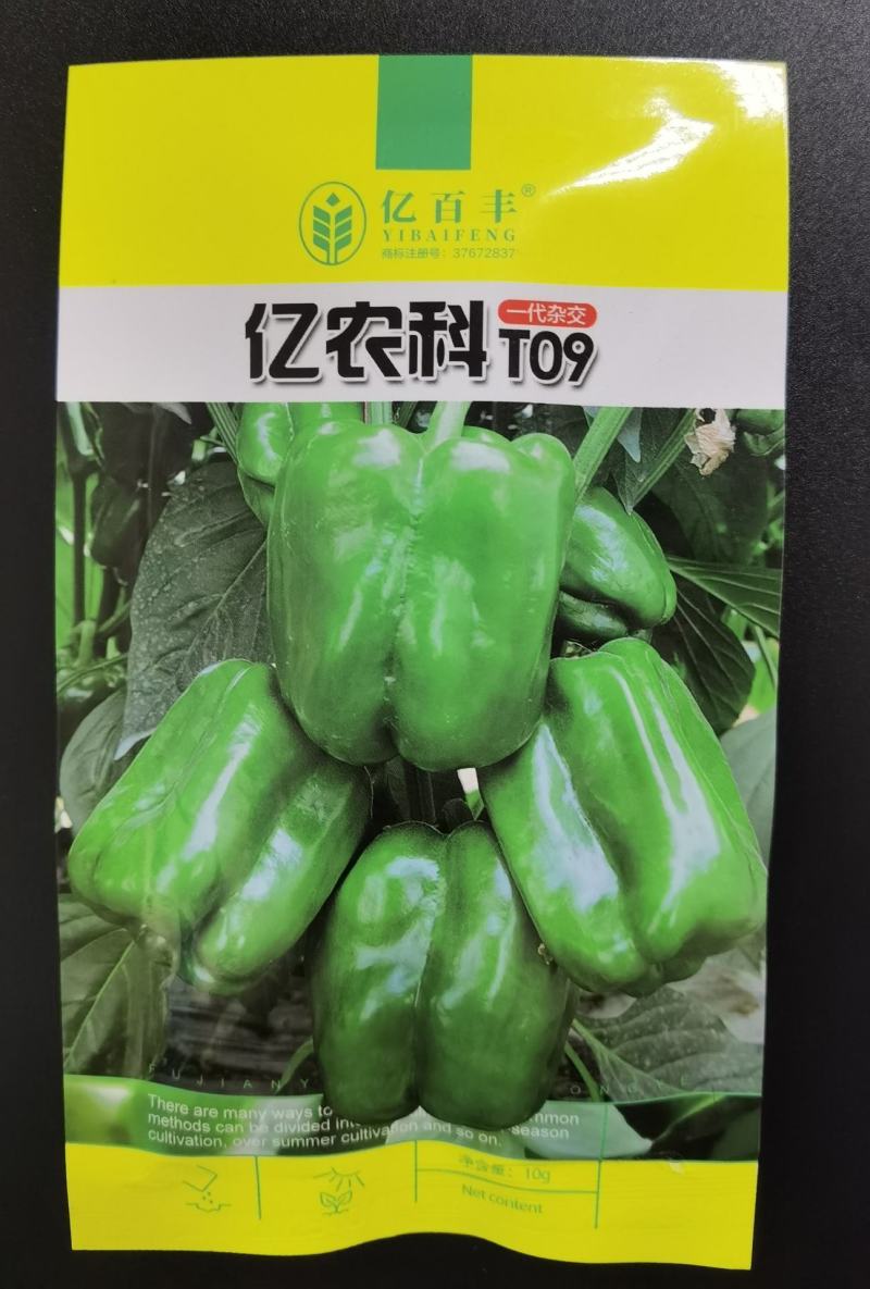 甜椒种子不辣菜椒种子茄门种子农家庭院种植辣椒种子蔬菜种子