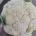 肥城新鲜菜花大量上市产地直供全国可发