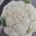 肥城新鲜菜花大量上市产地直供全国可发