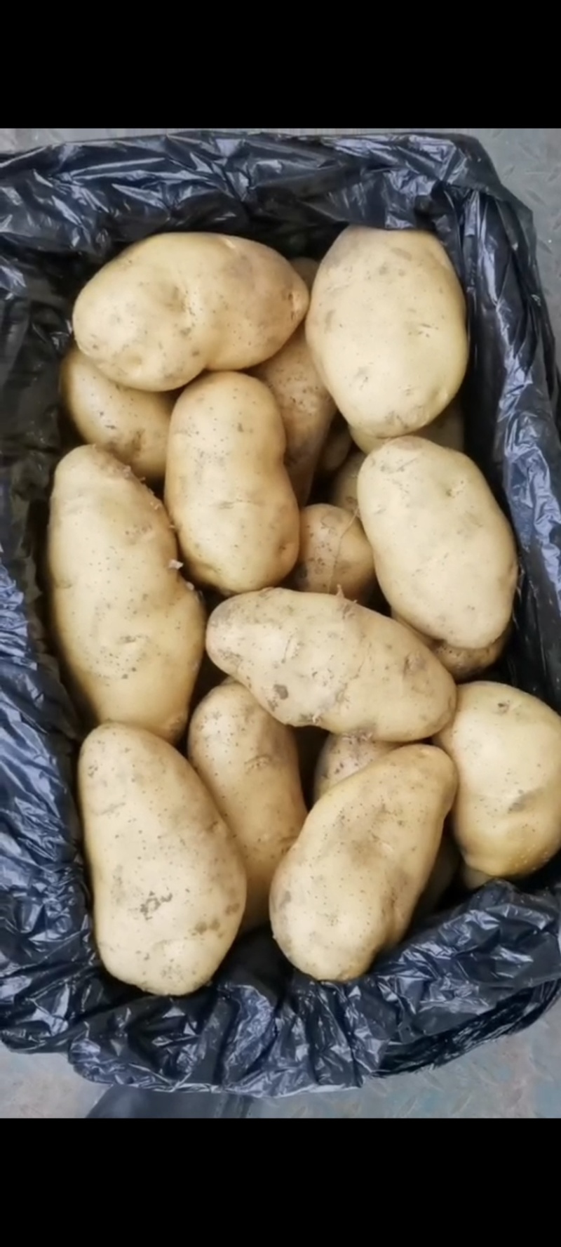 肥城精品库存土豆，大量供应，有需要的老板联系我