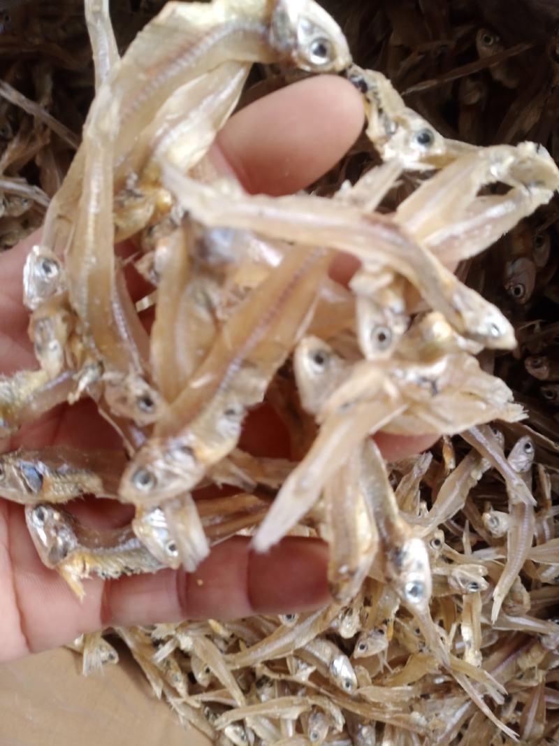 北海淡晒公干鱼，白矾鱼干，银鱼干，小鱼干