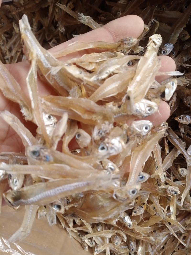 北海淡晒公干鱼，白矾鱼干，银鱼干，小鱼干