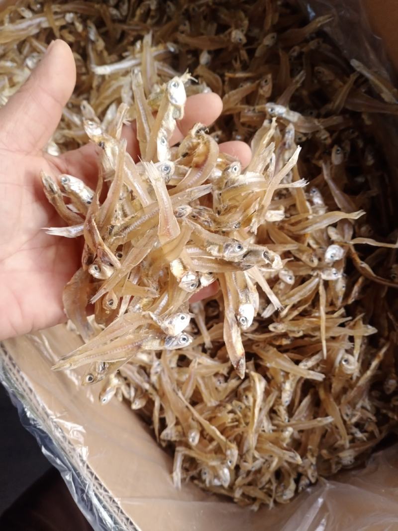 北海淡晒公干鱼，白矾鱼干，银鱼干，小鱼干
