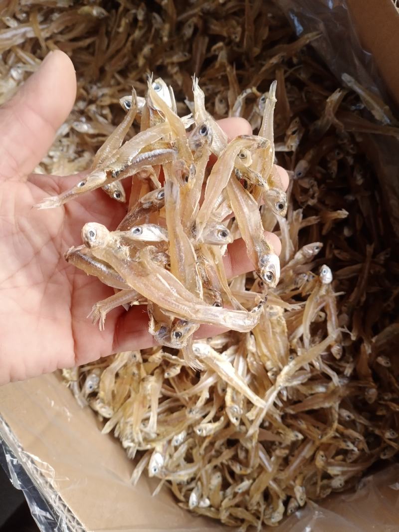 北海淡晒公干鱼，白矾鱼干，银鱼干，小鱼干