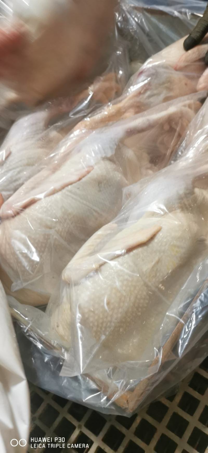 白条鸡，西装鸡，三黄鸡，规格齐全质量保证价格实惠