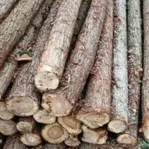求购柳树木桩10万根，小头直经10公分，长度3米，杆直。