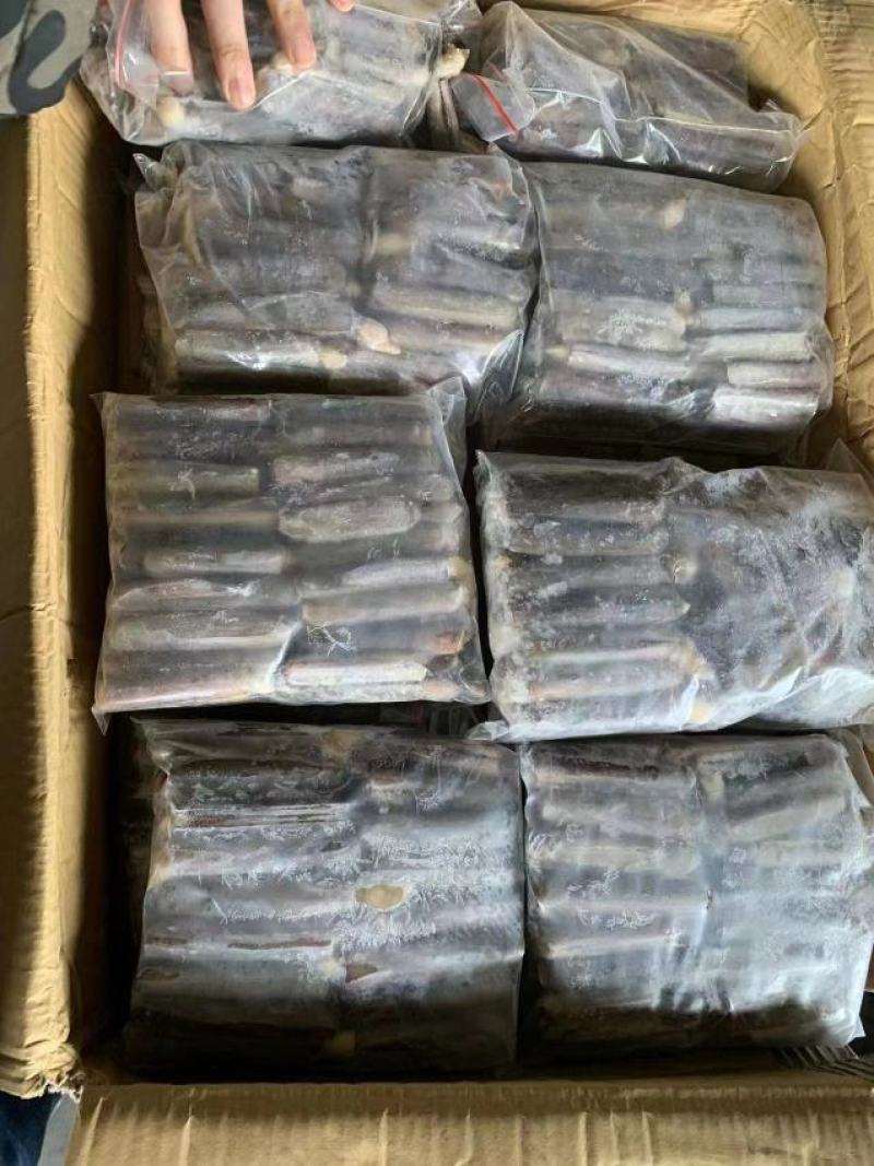 竹蛏批发蛏子批发竹蛏大竹蛏海蛏批发海蛏大海蛏