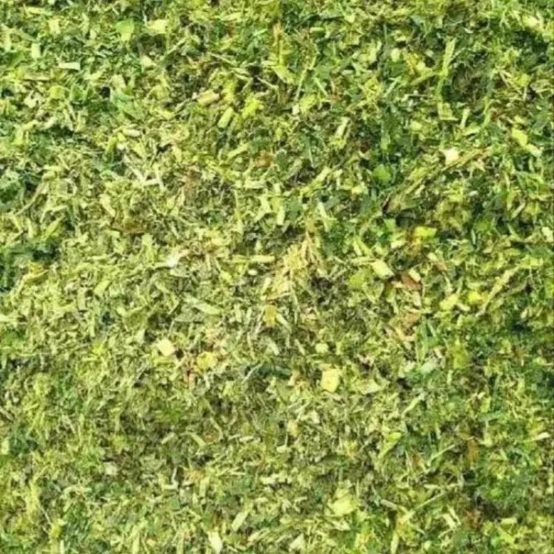 河北精品玉米秸秆全年有货量大从优品质保证欢迎联系