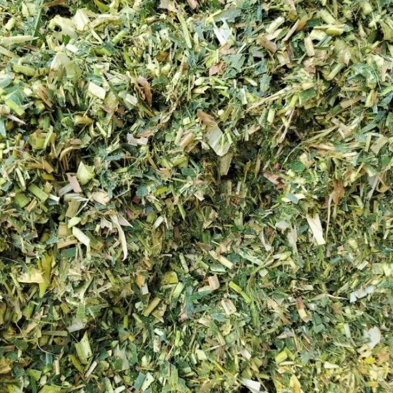 河北精品玉米秸秆全年有货量大从优品质保证欢迎联系