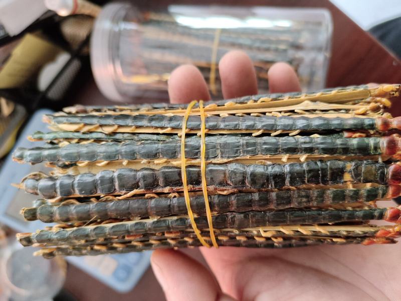 精品蜈蚣中药材蜈蚣欢迎采购一手货源量大从优