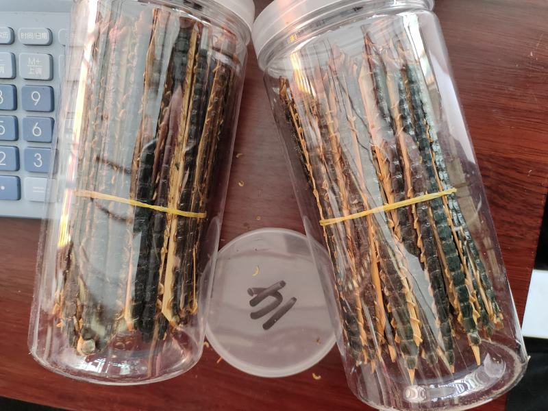 精品蜈蚣中药材蜈蚣欢迎采购一手货源量大从优