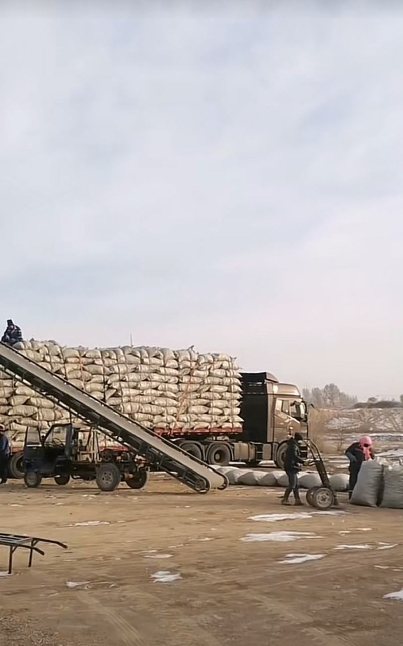 精品干辣椒212，红辣椒，初级农产品加工