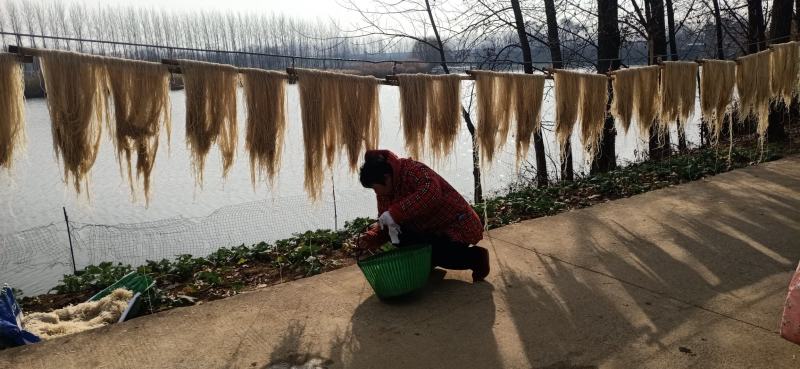 阜阳农家纯手工红薯粉丝，假一赔十，7天无理由退货