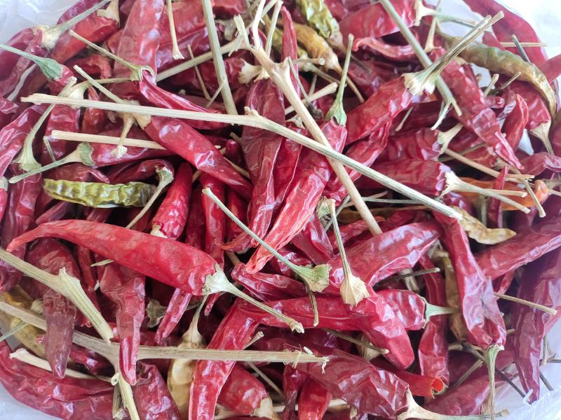 精品干辣椒212，红辣椒，初级农产品加工