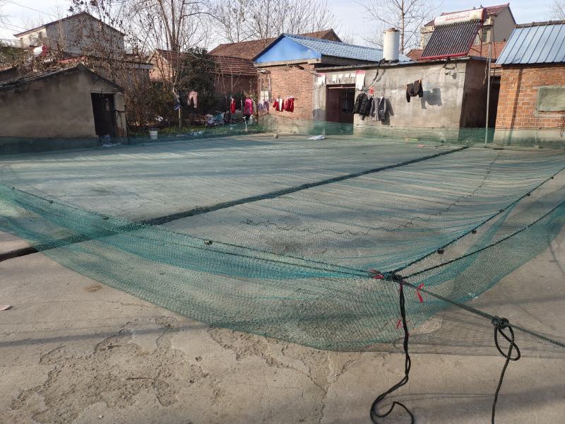 网箱拉网抬网防鸟网隔断网拦河网及各种捕鱼网养殖网种植爬藤