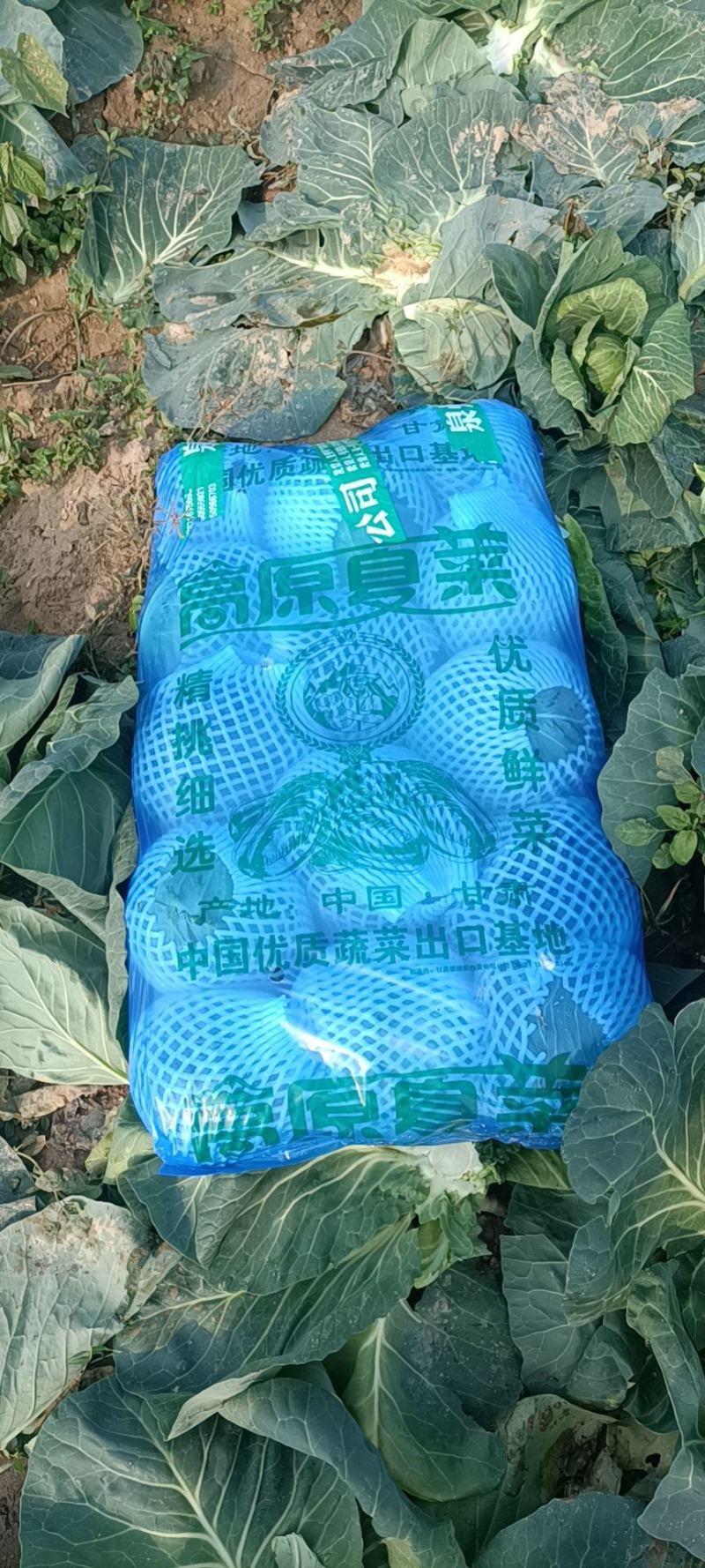 精品旺旺甘蓝2~3斤产地直销物美价廉大量有货