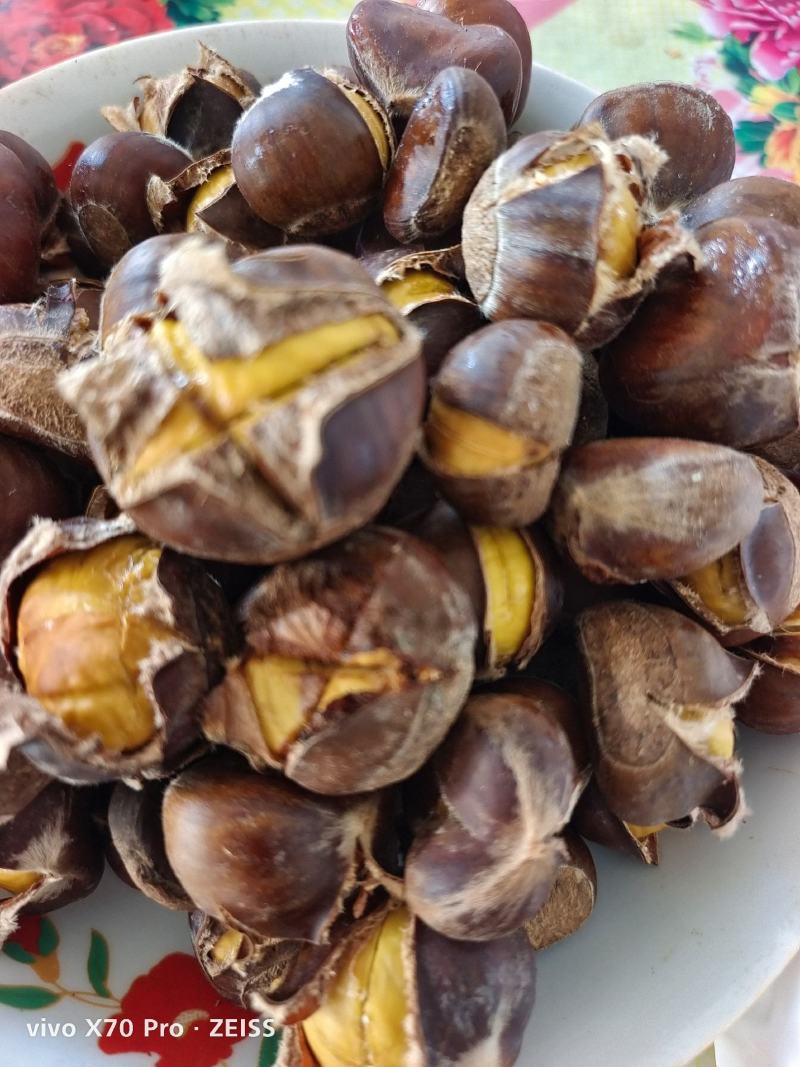 精品野生板栗，大量上市，颜色正黄，口感糯甜，欢迎咨询