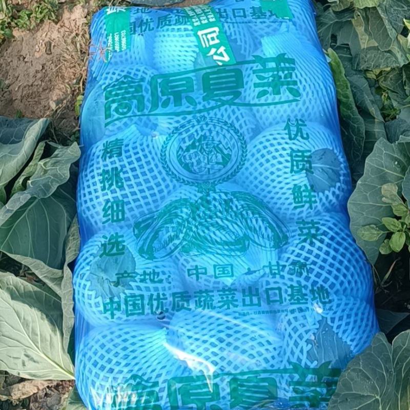 精品旺旺甘蓝2~3斤产地直销物美价廉大量有货