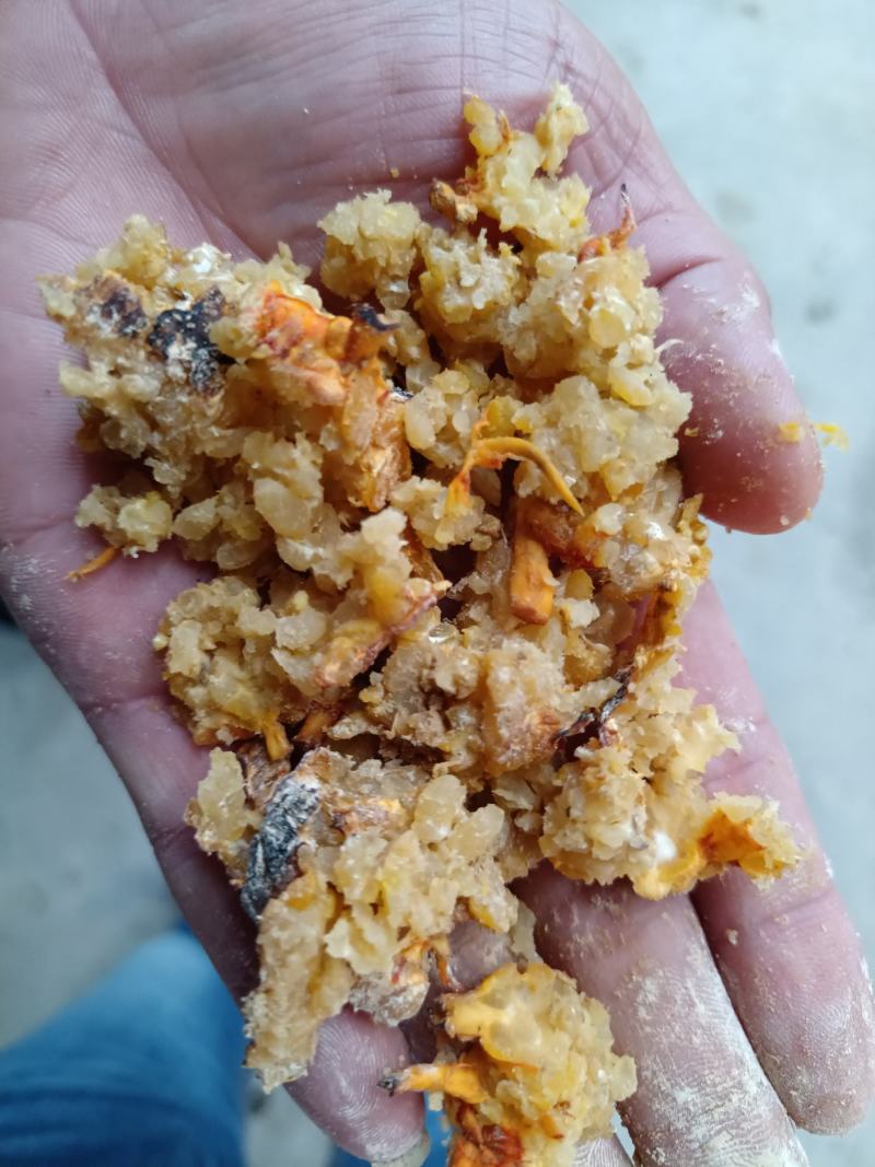 玉米饭渣，成分：大米，玉米，牛奶，麦麸。适合鸡鸭鹅鱼猪羊