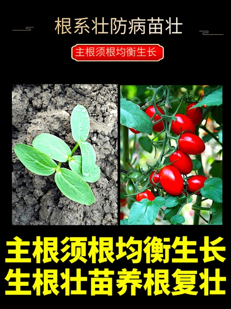 贝乐康生根粉强壮苗壮根500克冲施撒施喷雾水溶肥