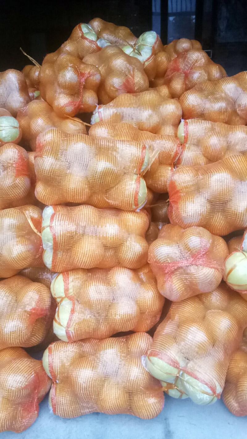湖南江永老树沙田柚，皮薄肉厚多汁，口感纯甜，价格实惠。
