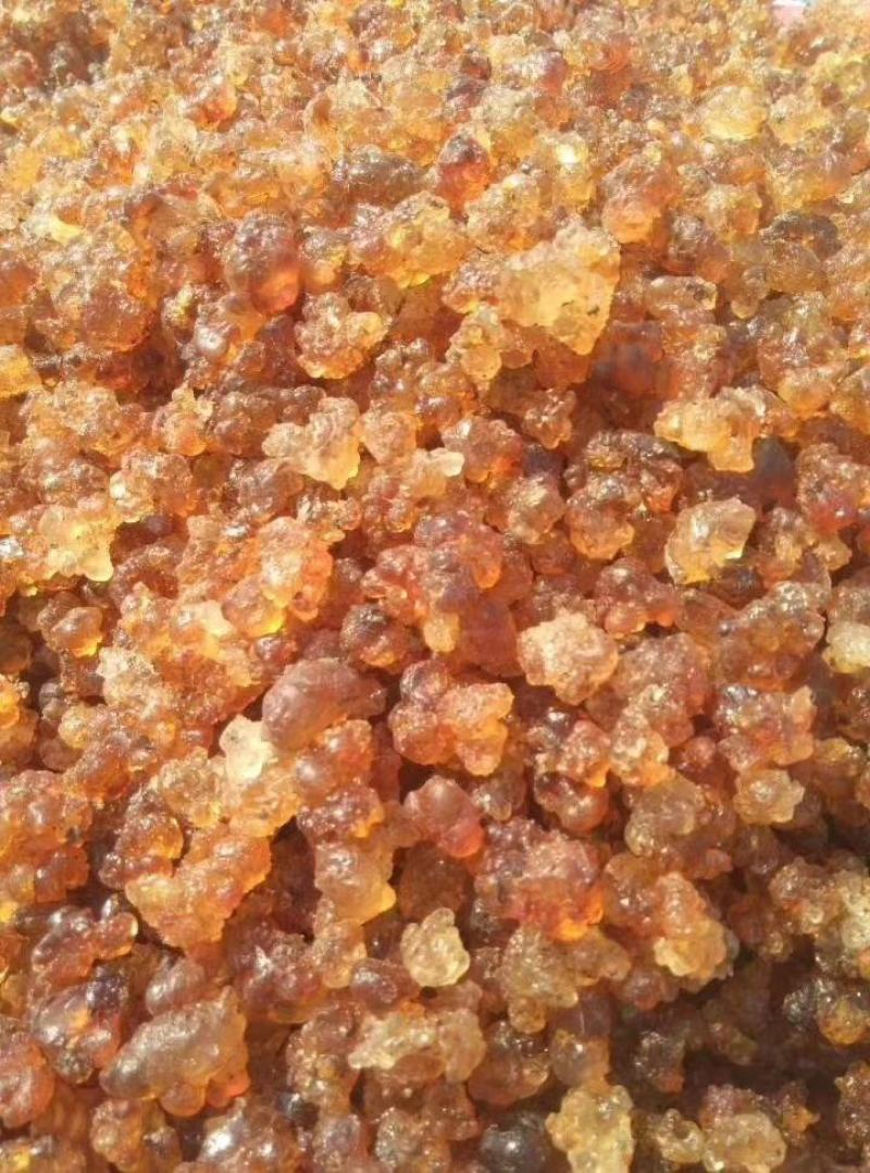 精选少杂质桃胶颗粒大而且富含植物胶质大量现货供应