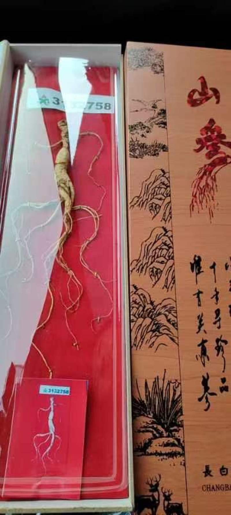 东北长白山山参礼盒装大量现货供应欢迎选购