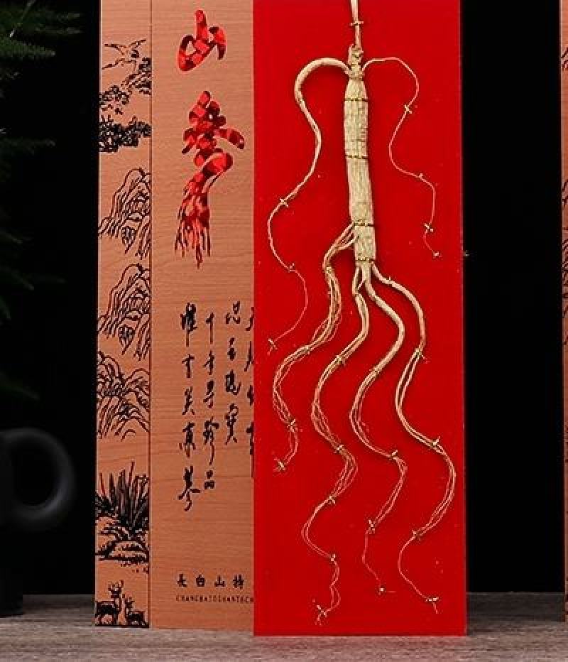 东北长白山山参礼盒装大量现货供应欢迎选购
