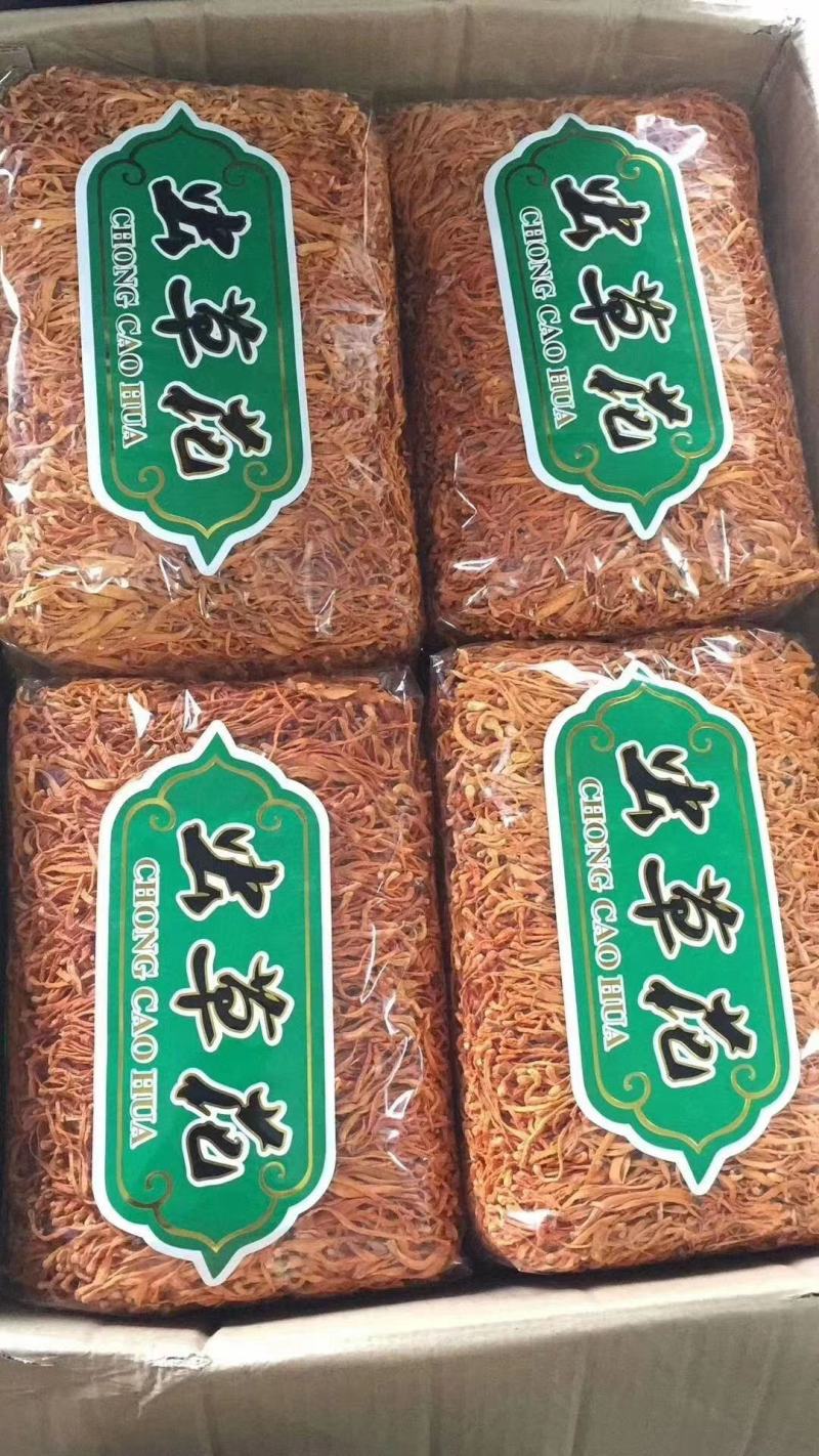 2022新货精选干货虫草花大量现货供应欢迎选购