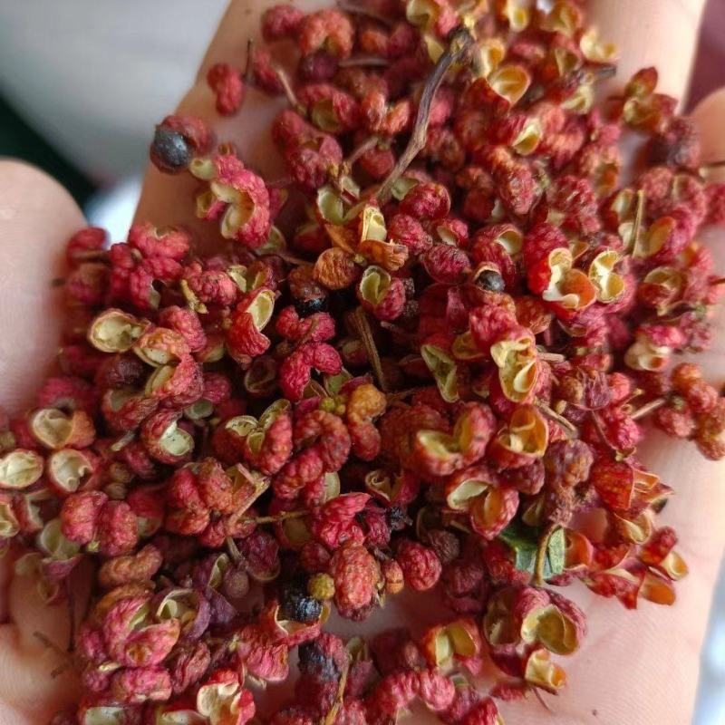 无硫花椒无熏硫无掺杂粒大饱满大量现货供应