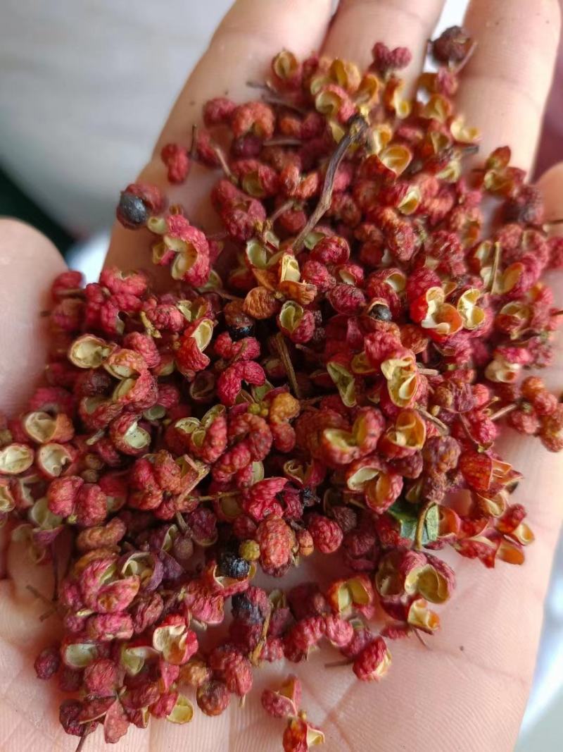 无硫花椒无熏硫无掺杂粒大饱满大量现货供应