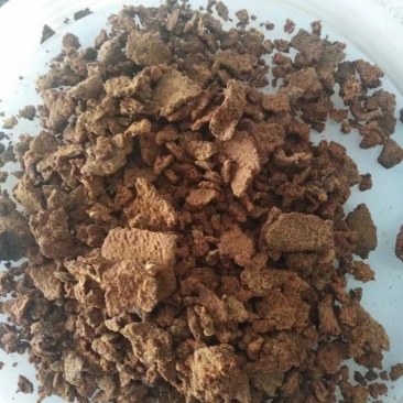 茶籽片饼
