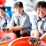 土元合作加盟土元养殖学习可实地考察干品加工