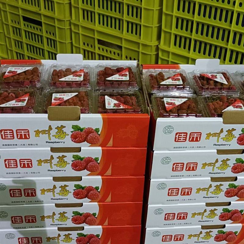青海树莓鲜果(出口级精品礼盒包装3000米产区)