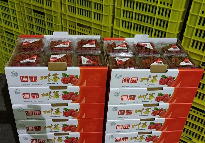 青海树莓鲜果(出口级精品礼盒包装3000米产区)