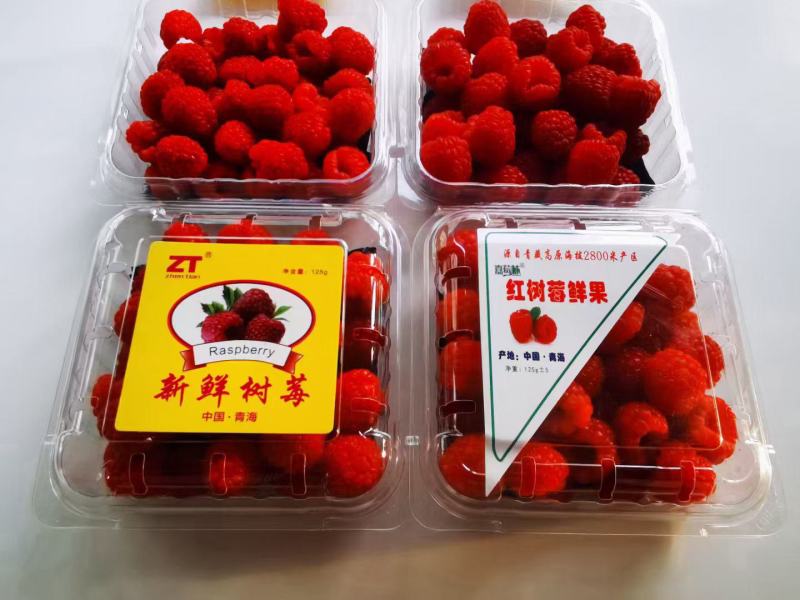 青海树莓鲜果(出口级精品礼盒包装3000米产区)