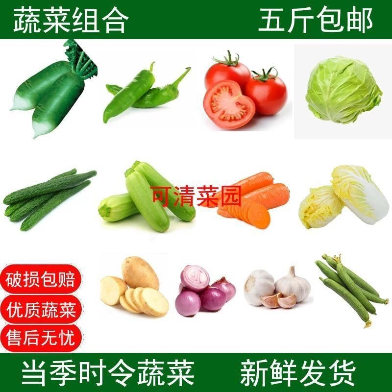 寿光蔬菜组合套菜单位福利多种规格可定制组合菜