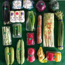 寿光蔬菜组合套菜单位福利多种规格可定制组合菜