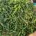 鲜辣椒-小皱皮椒大量上市（产地直发、质量保证）