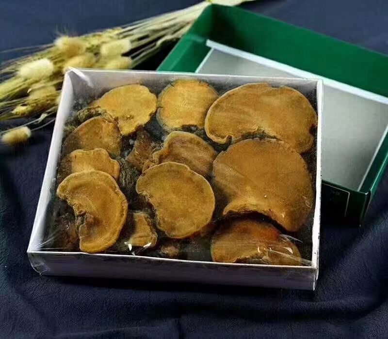 朝鲜桑黄产量稀少自然真贵大量现货供应欢迎选购