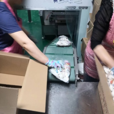 山东宁老五水饺～速冻水饺手工水饺厂家直销