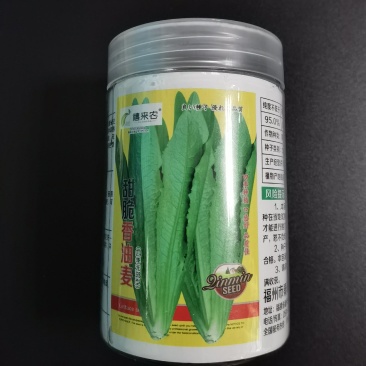甜脆香油麦菜种子精品50克罐装农户农家庭院阳台均可种植
