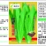 甜脆香油麦菜种子精品50克罐装农户农家庭院阳台均可种植