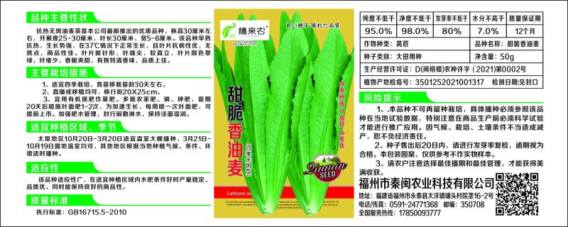 甜脆香油麦菜种子精品50克罐装农户农家庭院阳台均可种植