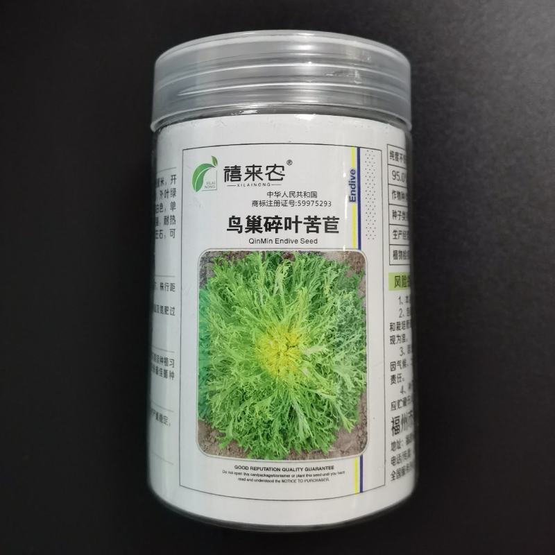 鸟巢碎叶苦苣种子小叶苦苣种子苦菊种子农户农家庭院种植蔬菜