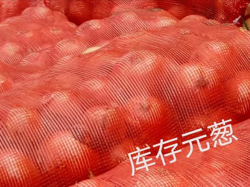 优质黄皮洋葱元葱产地直发货源充足价格优惠欢迎咨询